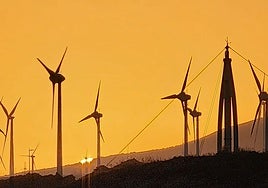 La Aemet informa de la continuidad de un fenómeno habitual en Canarias