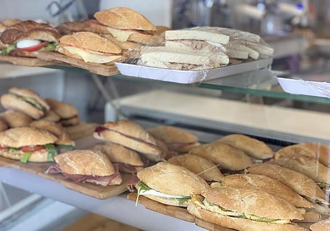 Pulguitas en San Bernardo Café