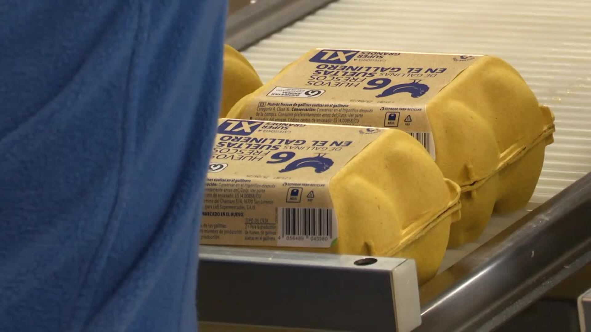 Rujamar sale adelante un año después tras el incendio que acabó con medio millón de sus gallinas