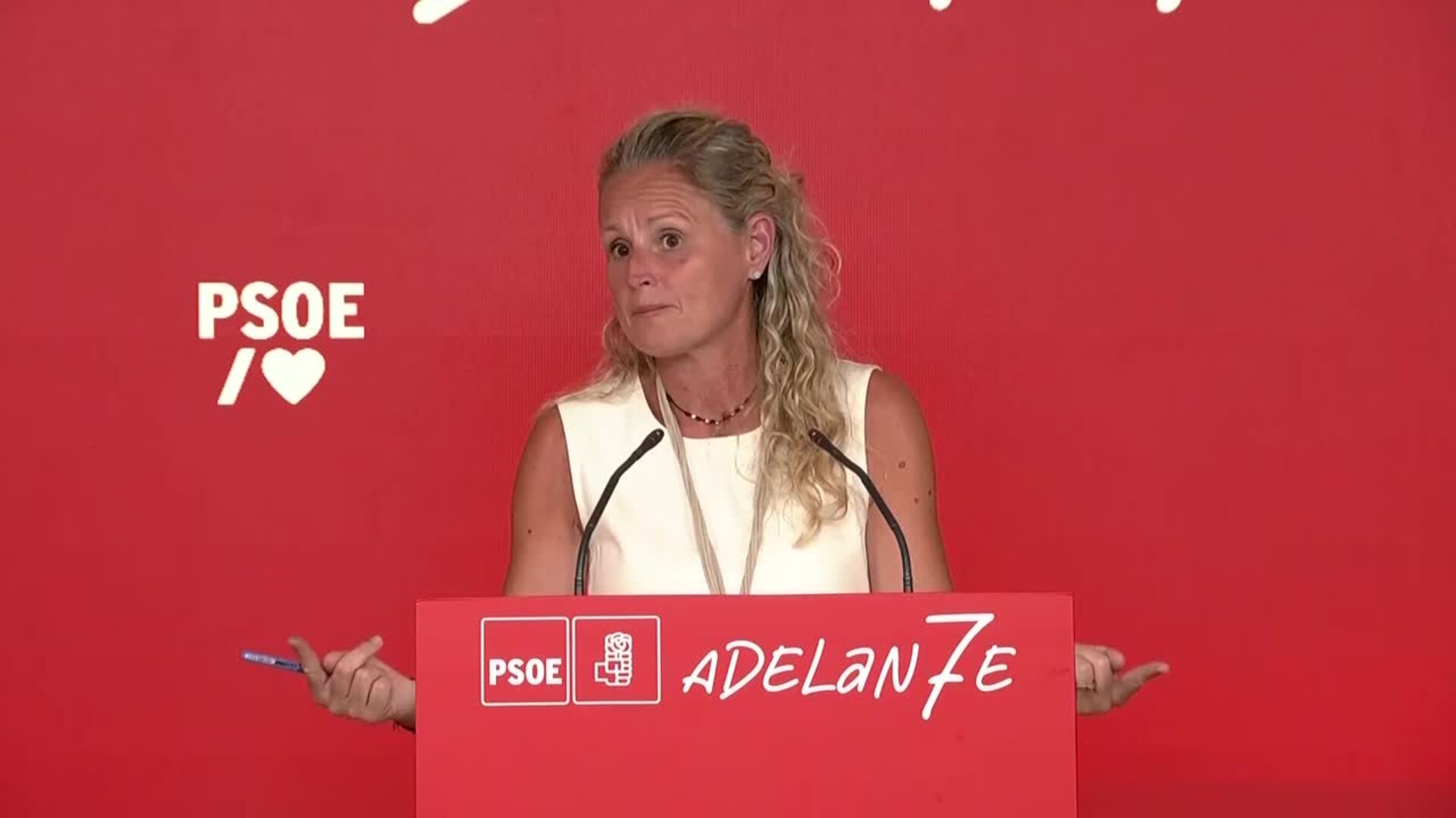 Ferraz resta importancia a las críticas de Page y destaca el "debate vivo" dentro del Comité