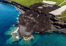 La explosión de vida submarina del Tajogaite llega a la pantalla del Museo Elder