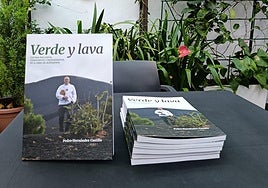 «Verde y lava», la cocina que no deja a nadie fuera de la mesa