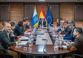 Canarias quiere más competencias: cogestionar los aeropuertos y controlar los incentivos del REF