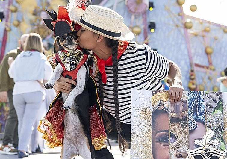 Carnaval canino de Las Palmas de Gran Canaria 2026: horario y dónde ver en directo