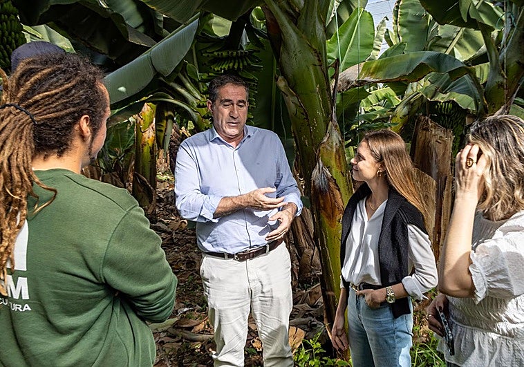 El programa Urdimbre permite que 24 jóvenes extutelados trabajen en fincas del Norte