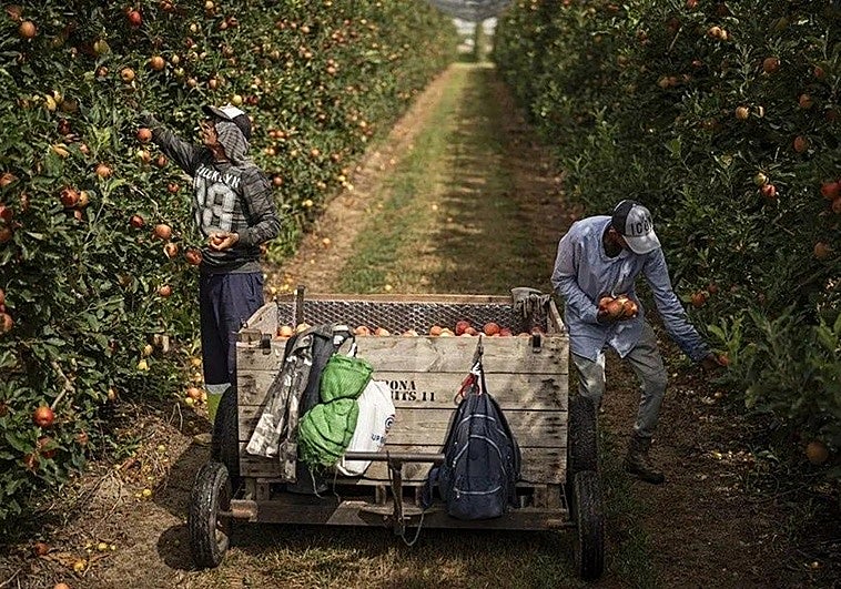 Trabajan pero no cuentan: ¿por qué la inmigración es clave para el estado del bienestar en España?