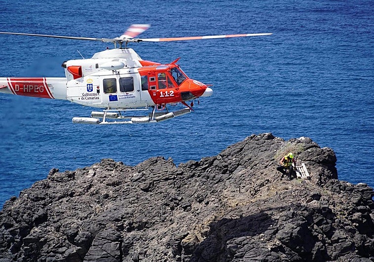 El charrán común contará con una nueva zona adaptada en el Farallón de Sardina