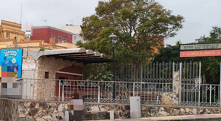 Recogida solidaria de alimentos a cambio de un libro en Ingenio