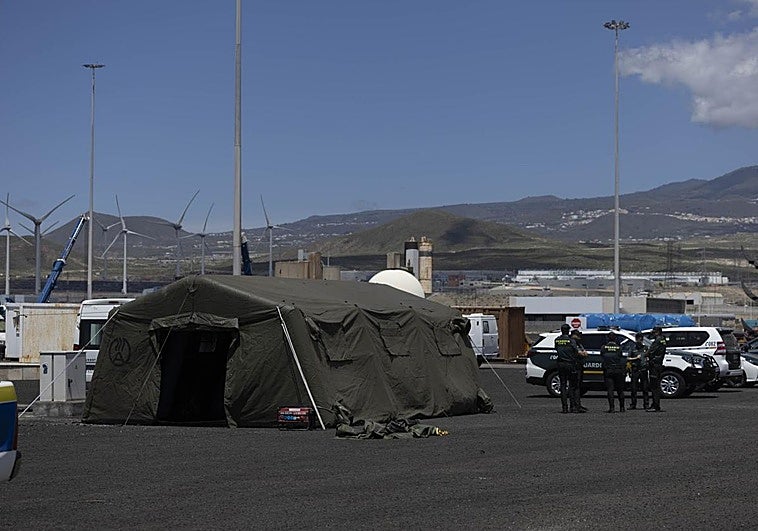 Todos los países con pasajeros en el Hondius concretan vuelos para evacuar a sus ciudadanos