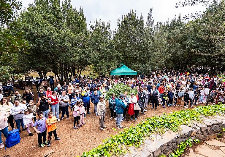 Valleseco acoge este sábado la décimo novena edición del ‘Canto a la Laurisilva’