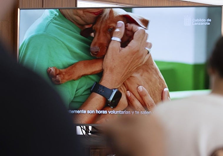 La 1ª Gala de Bienestar Animal visibilizará el trabajo de los voluntarios de Lanzarote