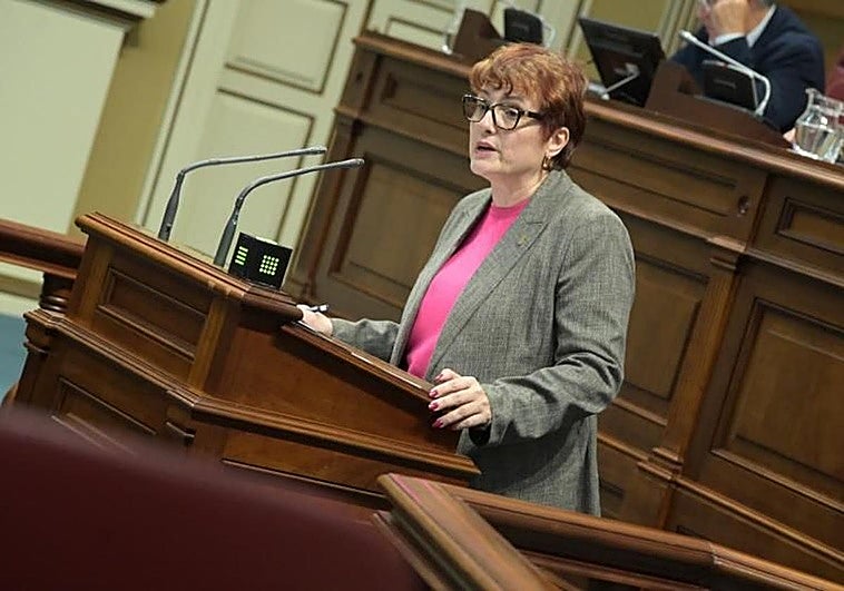 Bienestar Social, sobre el cierre de escuelas infantiles en Canarias: «Estamos obligados a gobernar bien»