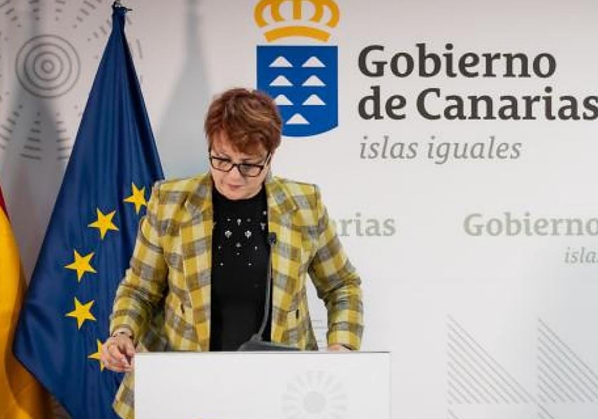 Canarias demanda participar en el seguimiento del Pacto de Migración a once días de que entre en vigor