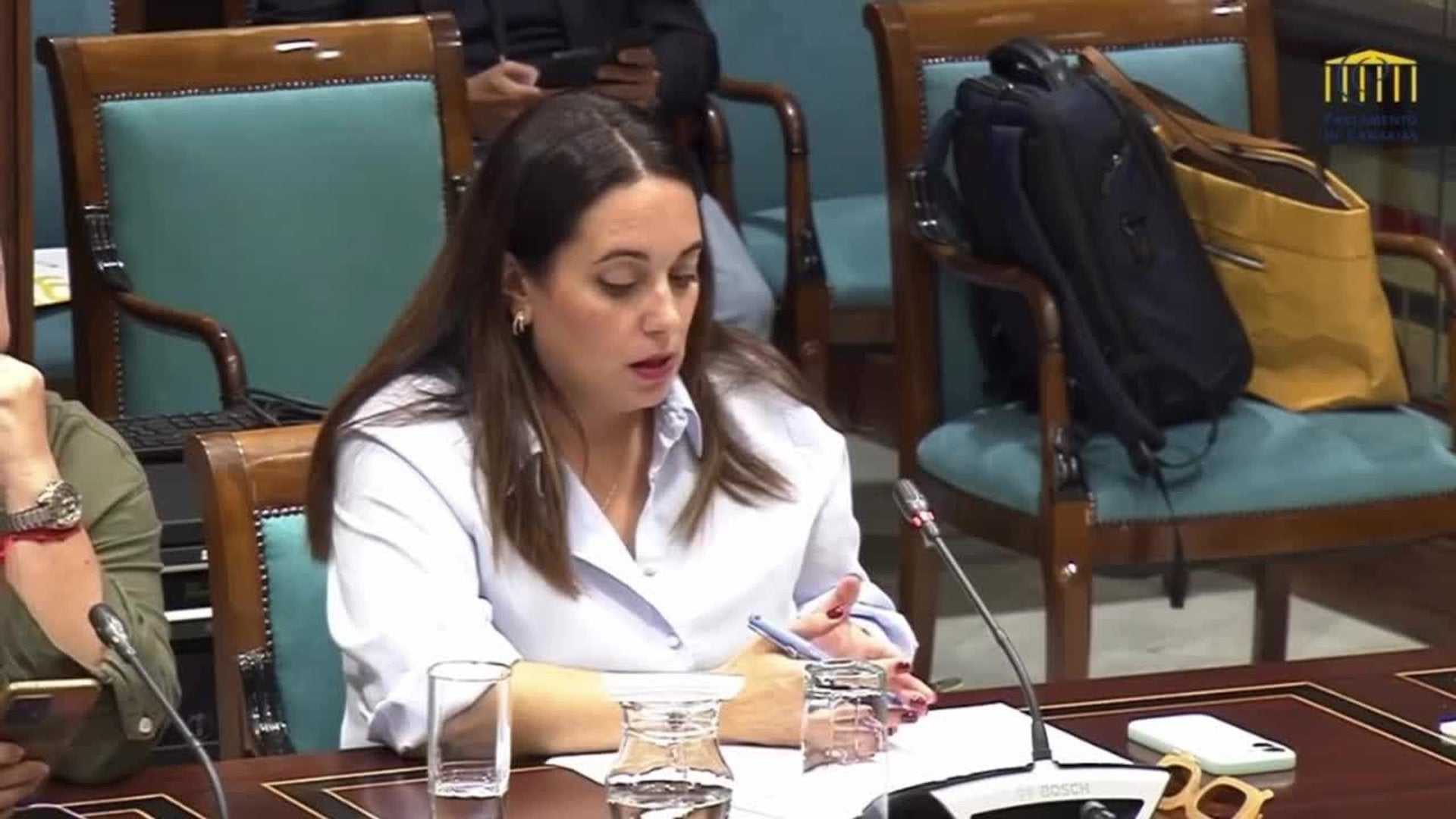 Cristina Calero, sobre la juventud rural en el Parlamento de Canarias