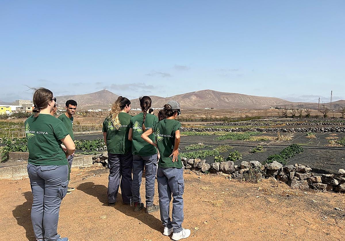 A licitación la redacción del proyecto para transformar el Centro de Biodiversidad Agrícola de Lanzarote