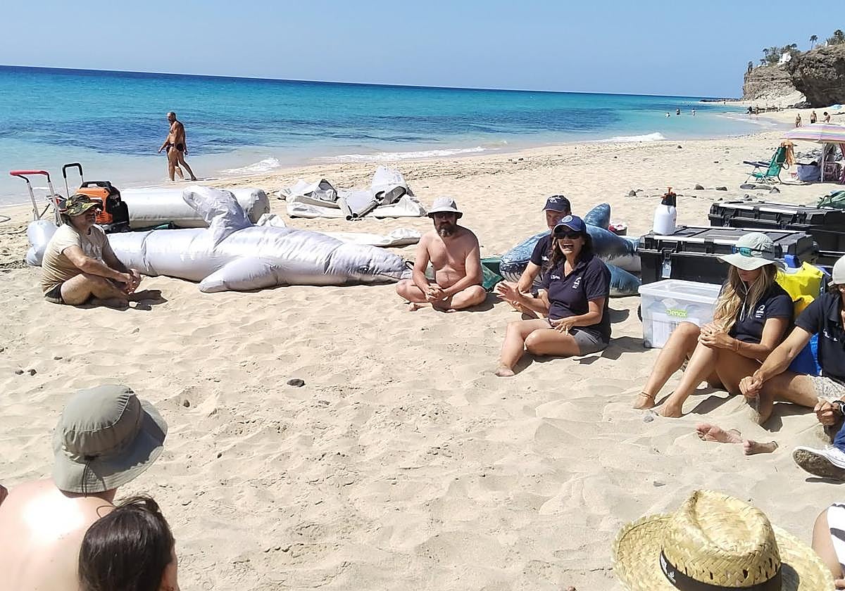 Rescue of a Stranded Cetacean on the Beaches of Jandía Rescue of a Stranded Cetacean on the Beaches of Jandía