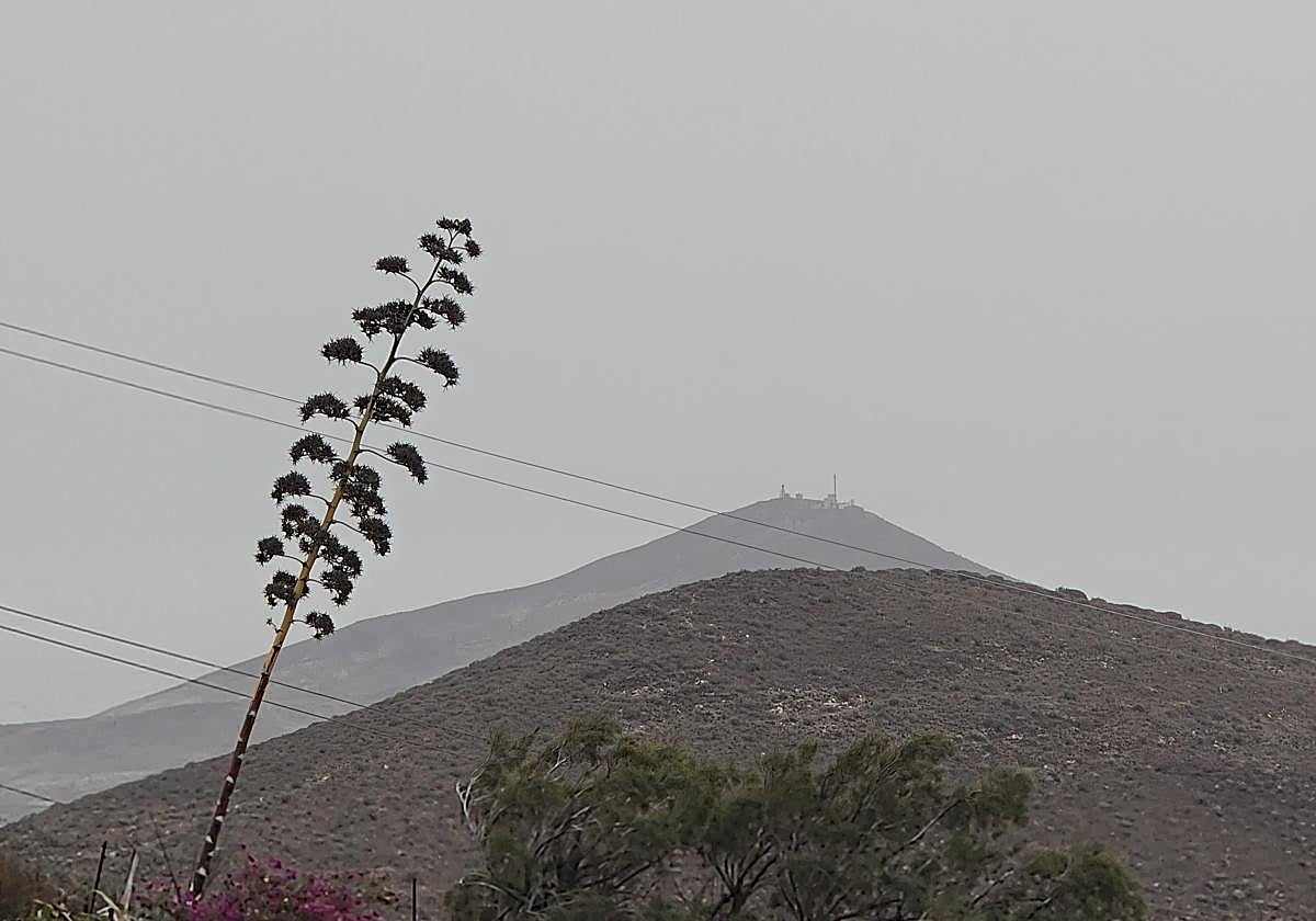 Calima, lluvias y calor: la Aemet inaugura la semana en Canarias con valores anómalos