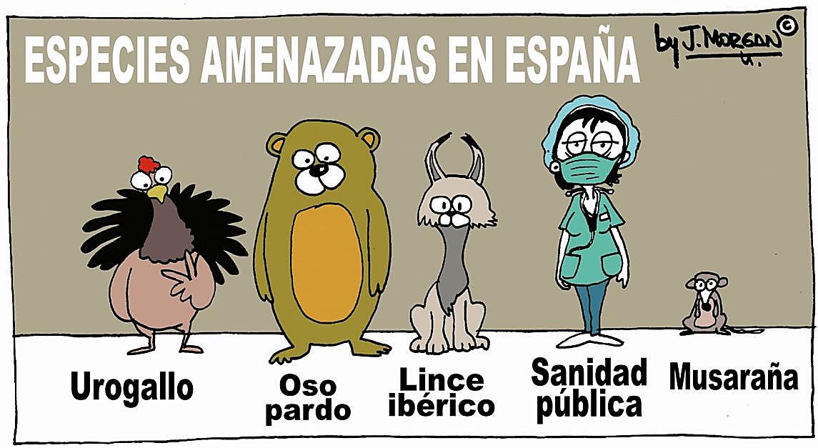 La viñeta de Morgan de este lunes 7 de septiembre