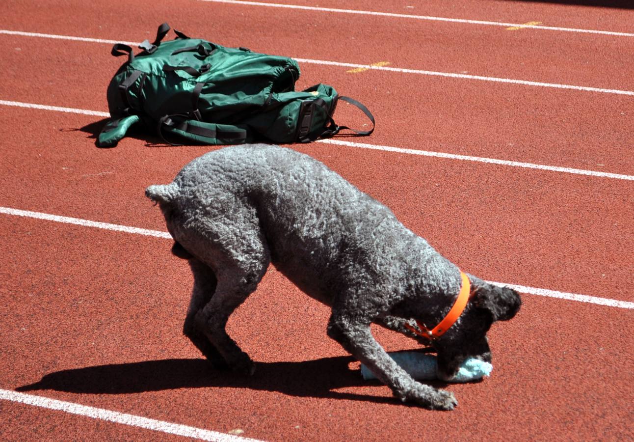 Jugando a ser Guardia Civil