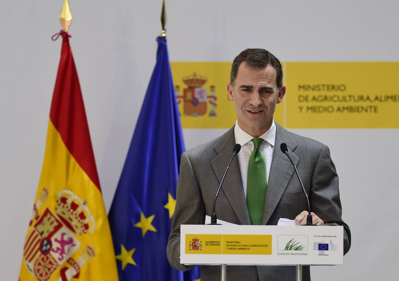 Los Príncipes de Asturias presiden el acto de entrega de los Premios Europeos de Medio Ambiente a la Empresa.