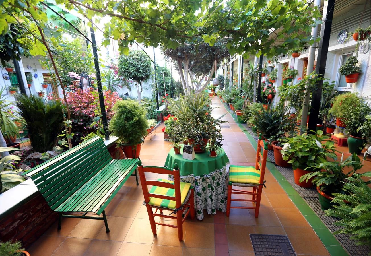 Los vecinos de la calle Trinidad dedican más de cuatro horas al día a su mantenimiento.