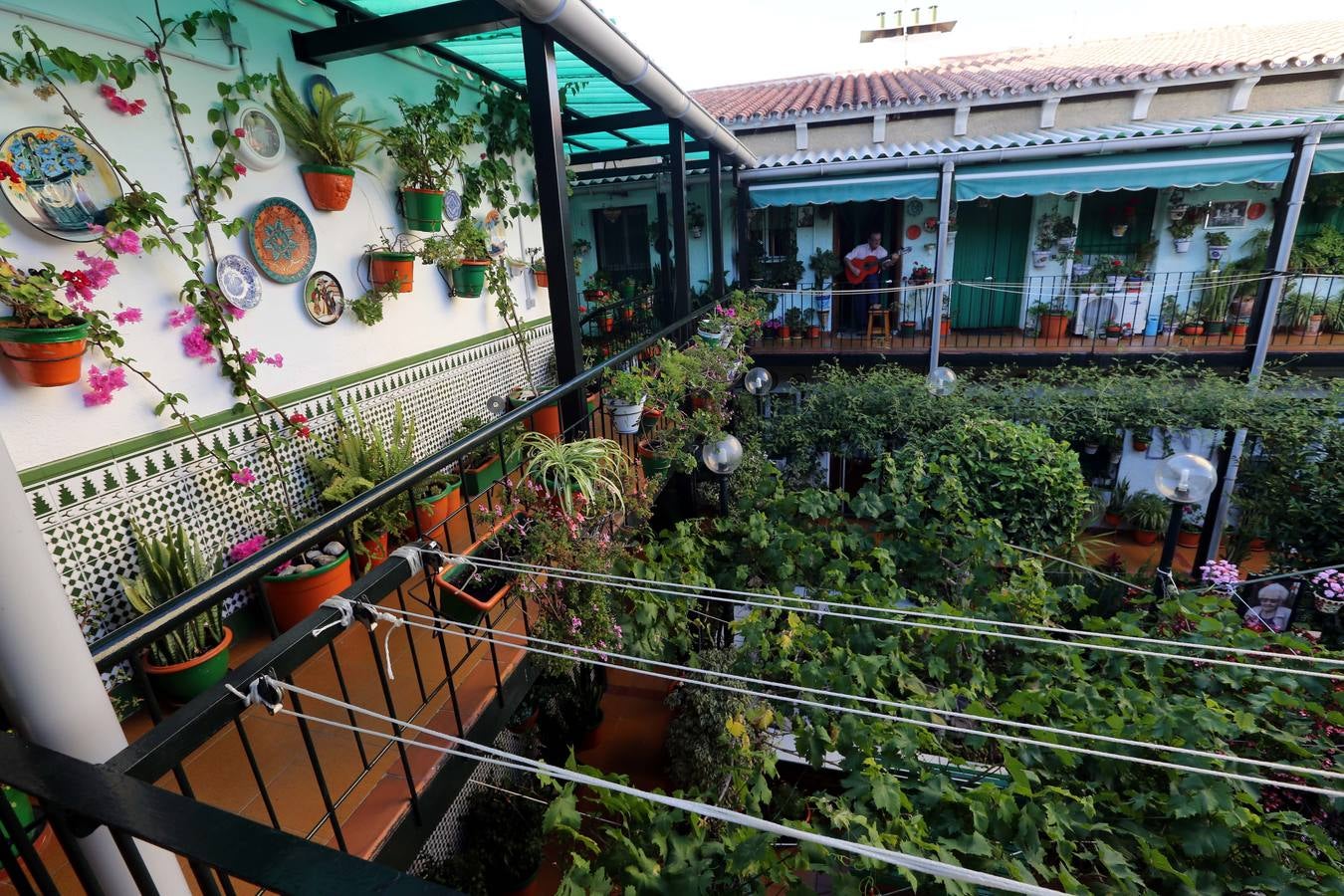 Los visitantes valoran la gran cantidad de especies que hay en el corralón de la Trinidad.