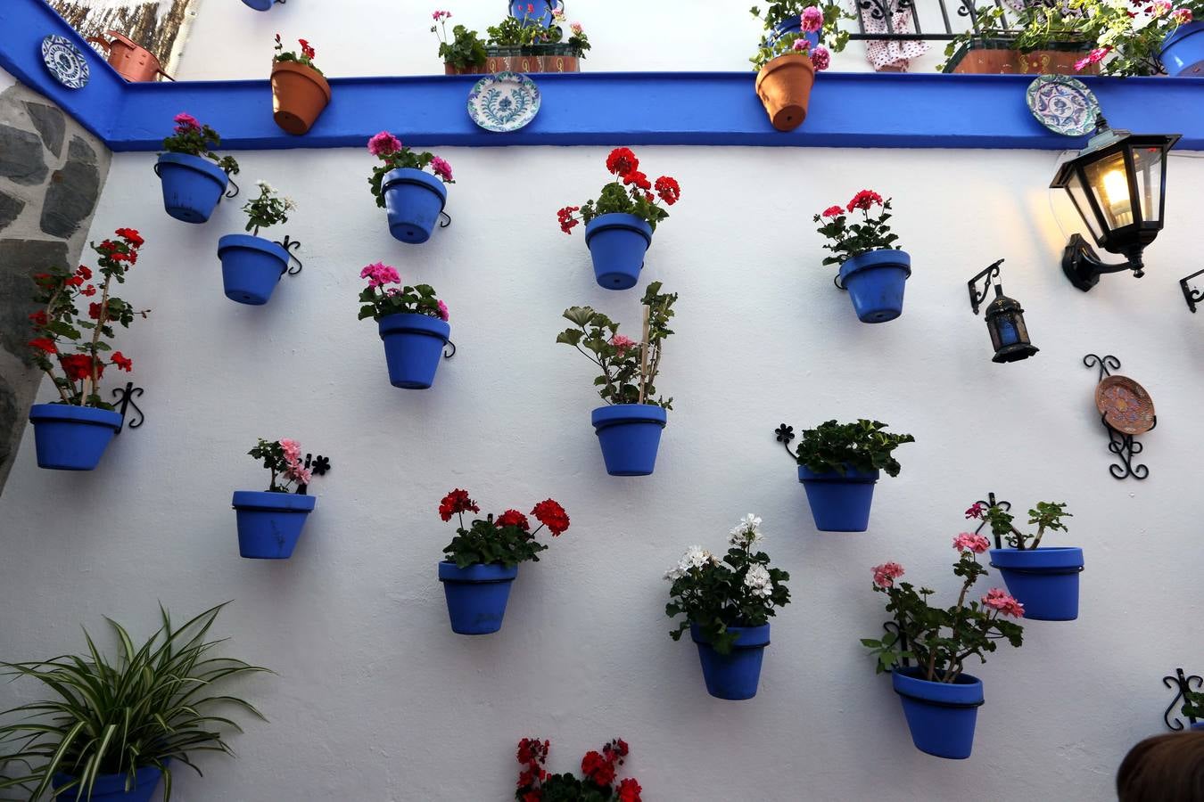 El mantenimiento tiene que se continuo para que nunca haya una hoja seca en las múltiples macetas que cuelgan entre sus muros.