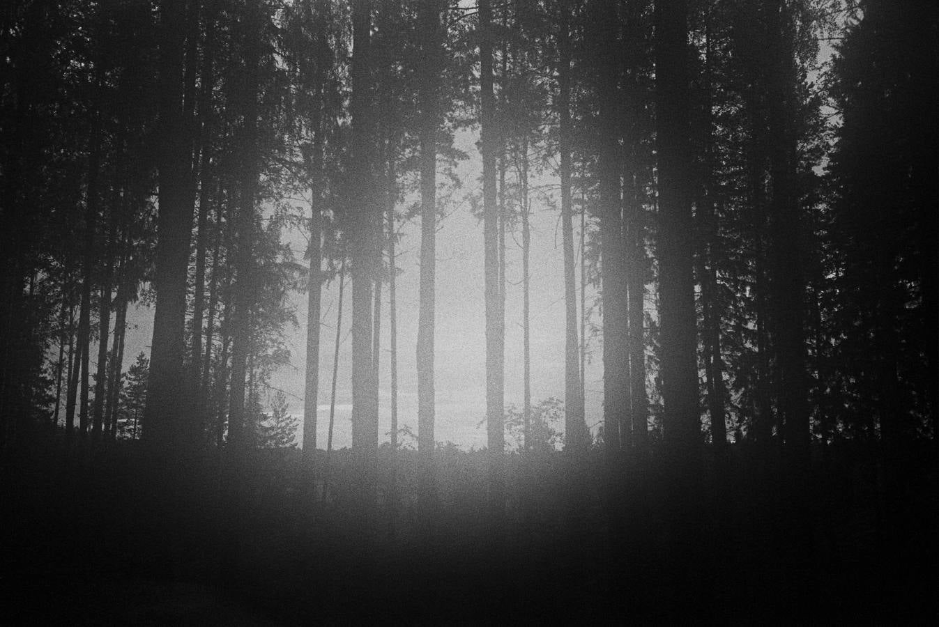 El arte urbano llevado a la galería de arte