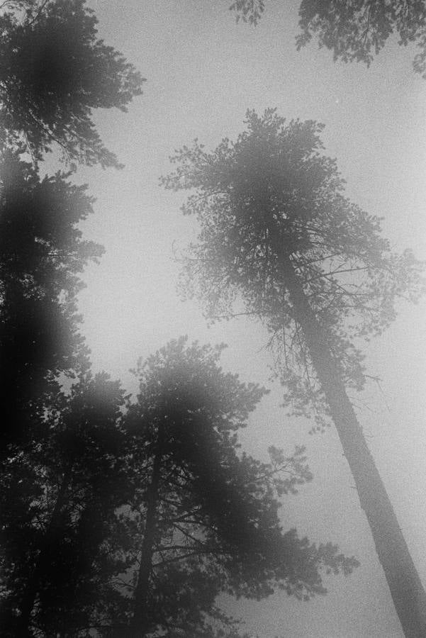 El arte urbano llevado a la galería de arte