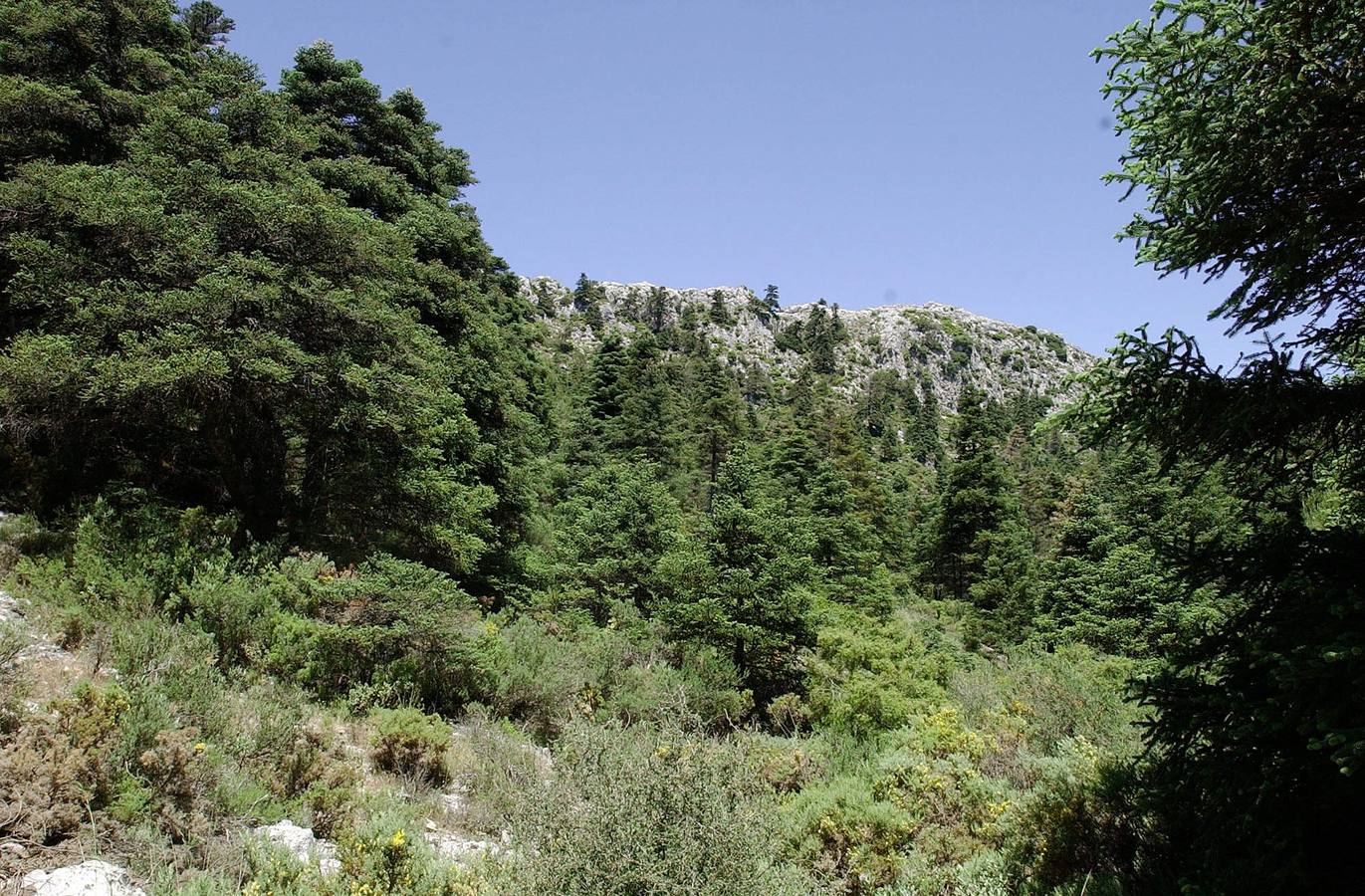La Sierra de las Nieves, espectacular también en verano