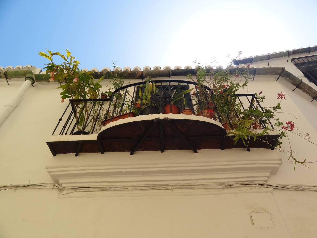 Un paseo fotográfico por la judería de Málaga