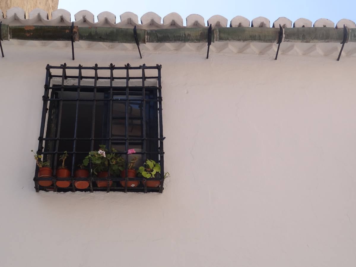 Un paseo fotográfico por la judería de Málaga