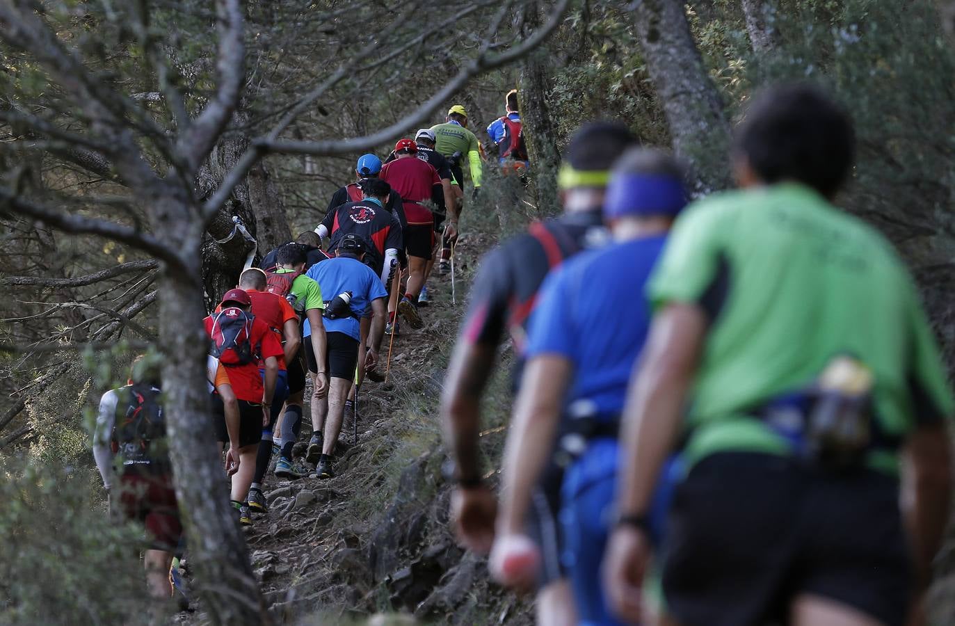 Maratón Alpina de Jarapalos