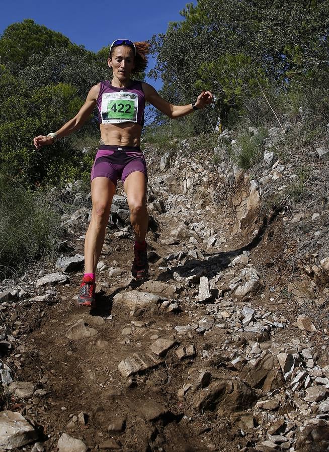 Maratón Alpina de Jarapalos