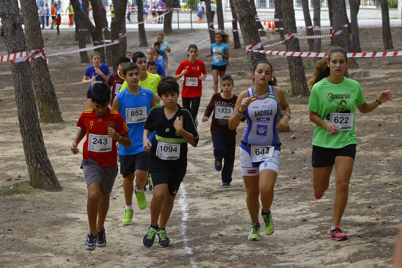 El cross de Torremolinos, en imágenes