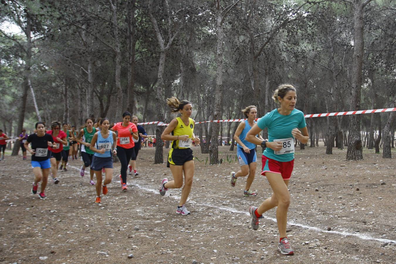 El cross de Torremolinos, en imágenes