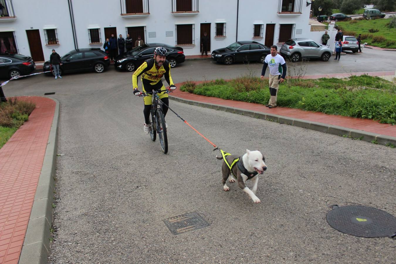 Montejaque celebra su I Canicross