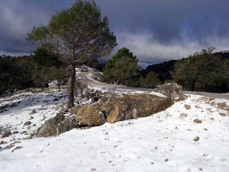 Nieva en distintos puntos de la Serranía de Ronda