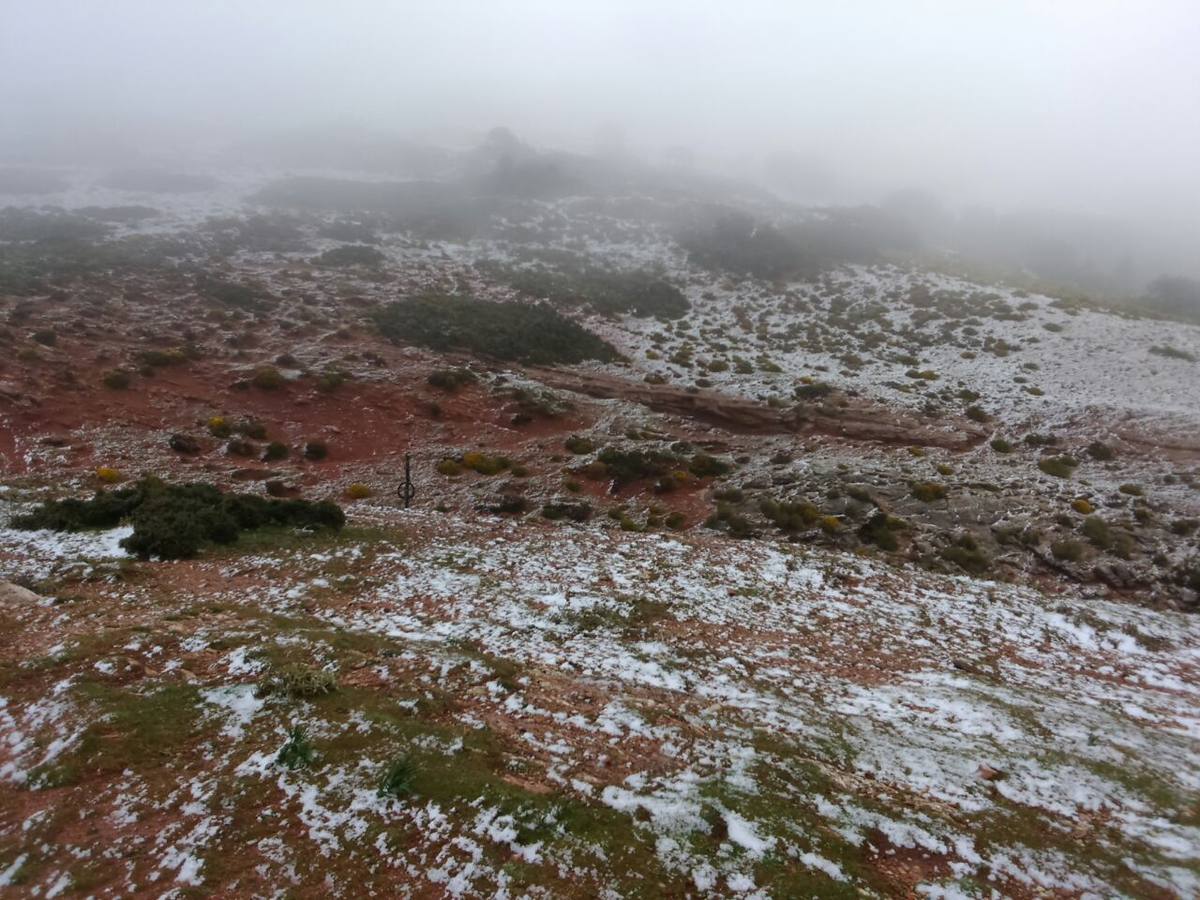 Nieva en distintos puntos de la Serranía de Ronda