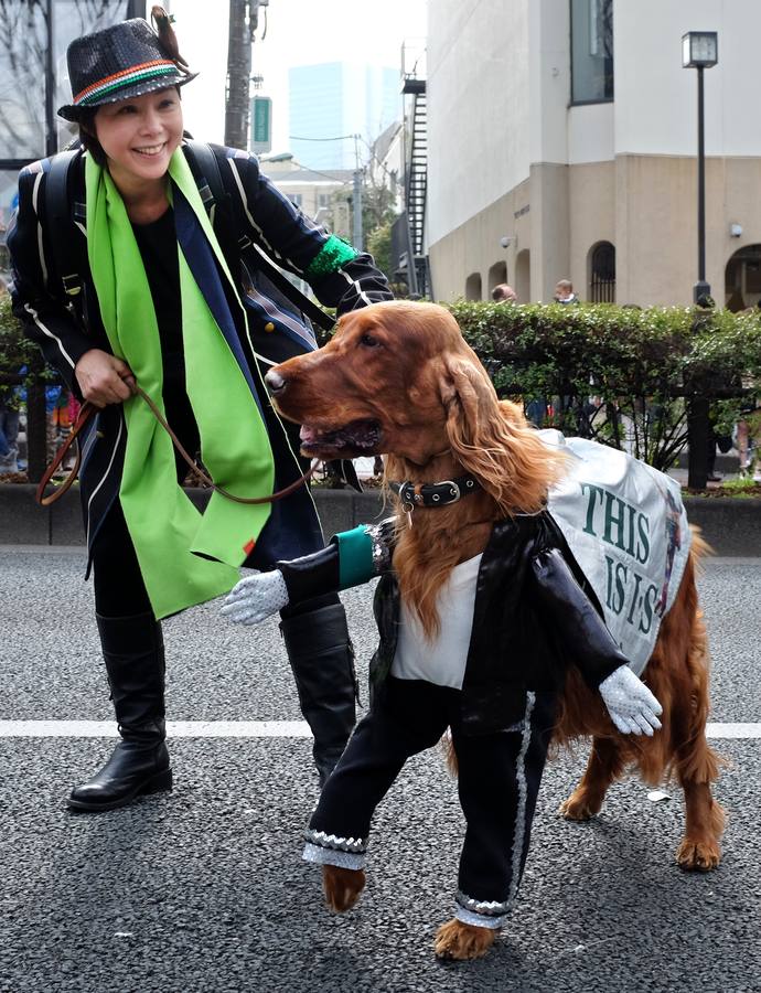 Celebraciones por el mundo por el Día de San Patricio