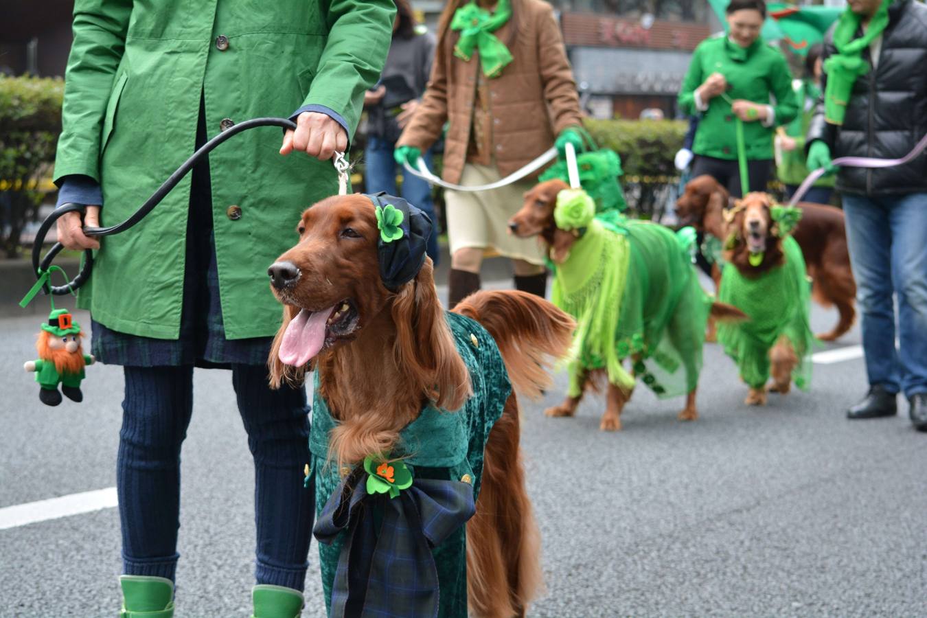 Celebraciones por el mundo por el Día de San Patricio