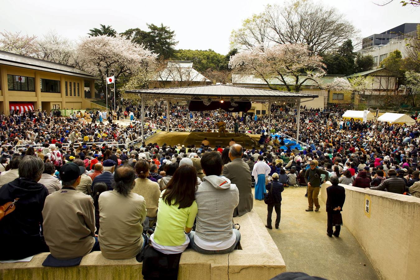 Luchadores de sumo participan en una exhibición anual en el santuario Yasukuni de Tokio