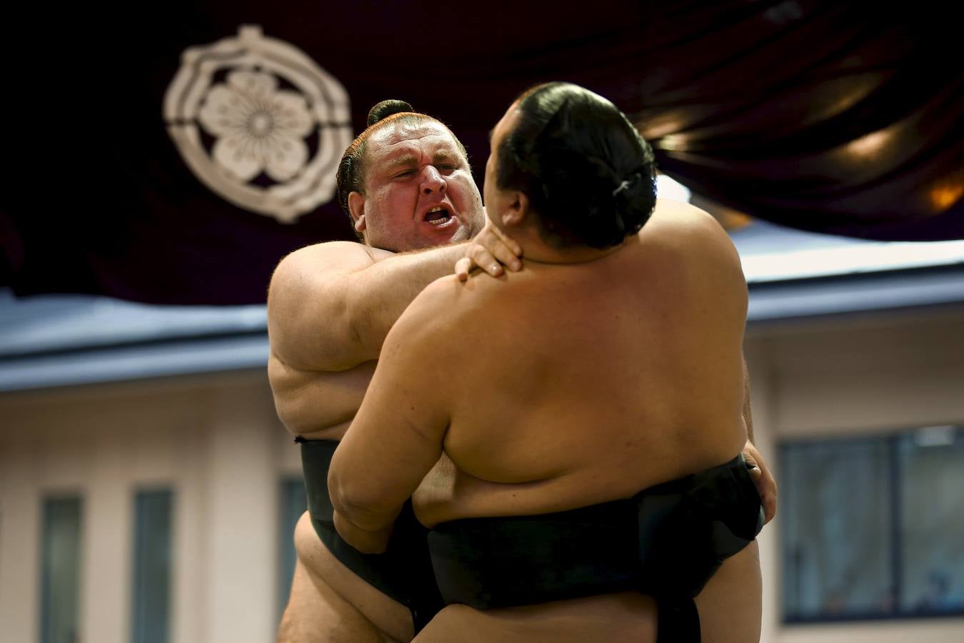 Luchadores de sumo participan en una exhibición anual en el santuario Yasukuni de Tokio