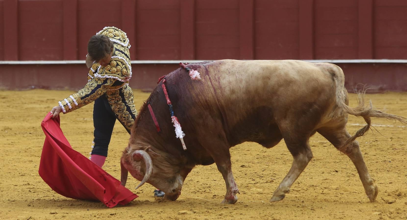 Perera corta una oreja en Málaga