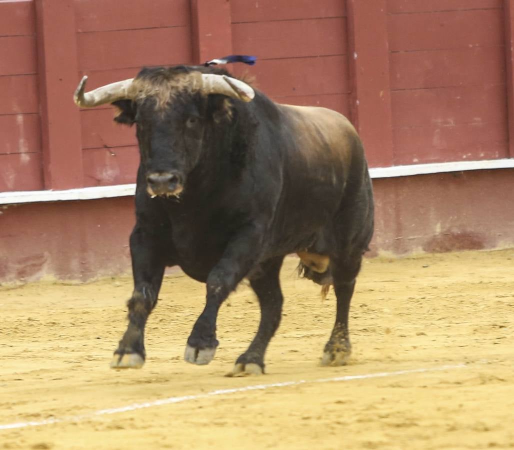 Perera corta una oreja en Málaga