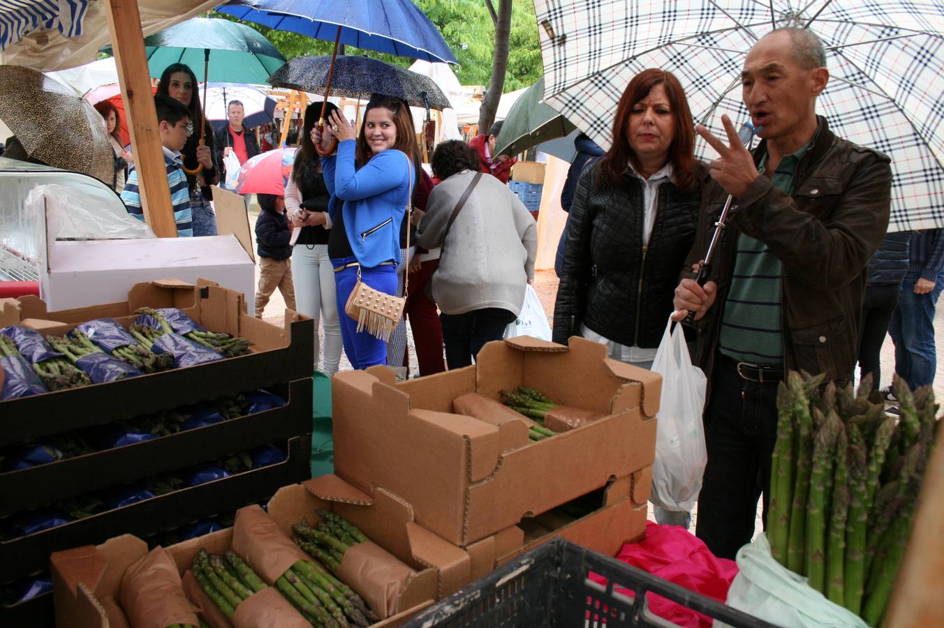 Sierra de Yeguas celebra su XV Feria del Espárrago