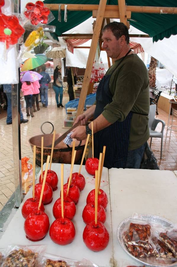 Sierra de Yeguas celebra su XV Feria del Espárrago