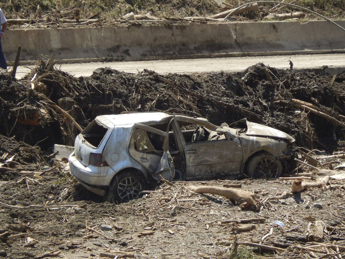 Todo vuelve a la normalidad en el zoo de Georgia, tras las inundaciones