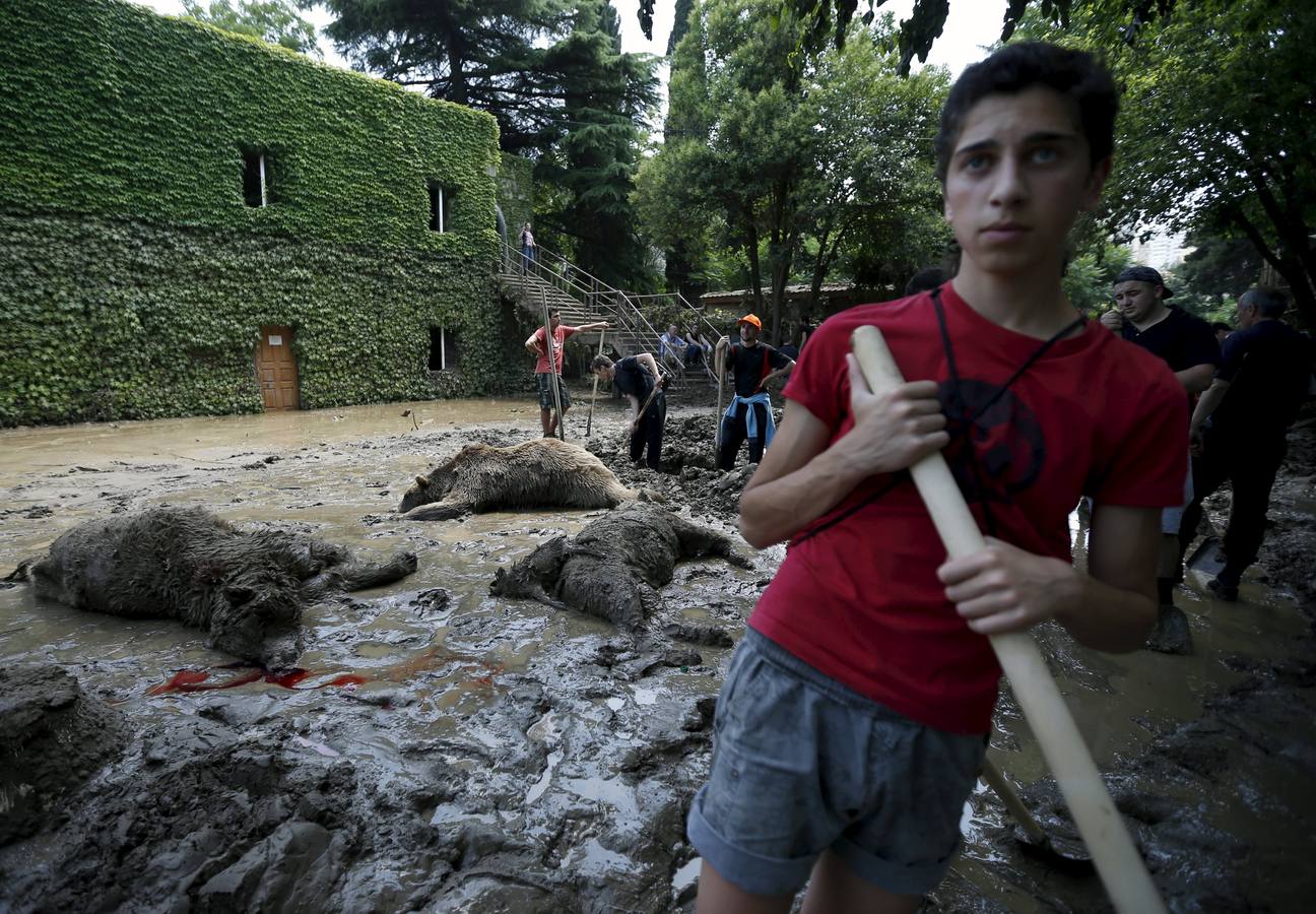 Todo vuelve a la normalidad en el zoo de Georgia, tras las inundaciones