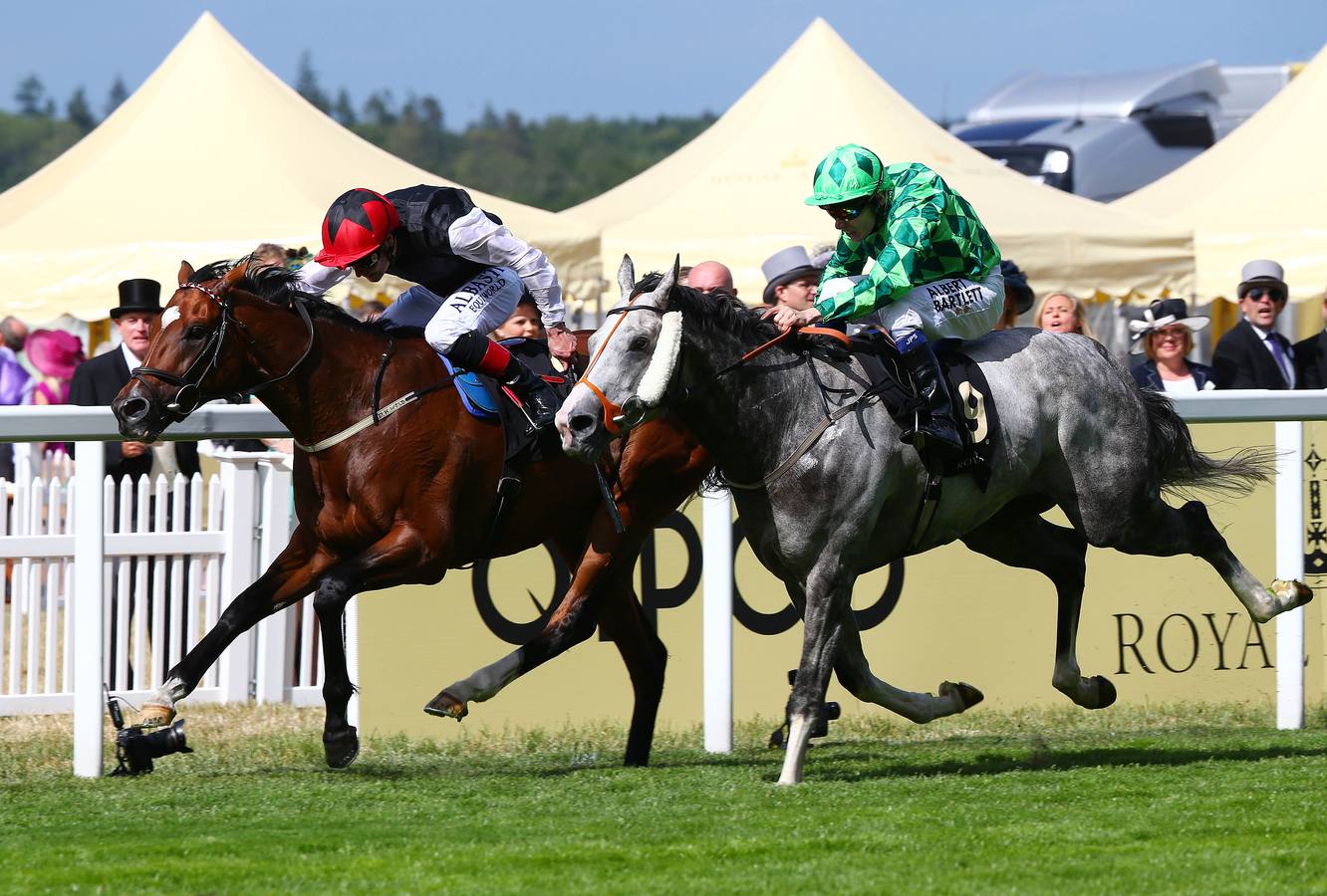 Las mejores imágenes de las carreras de Ascot